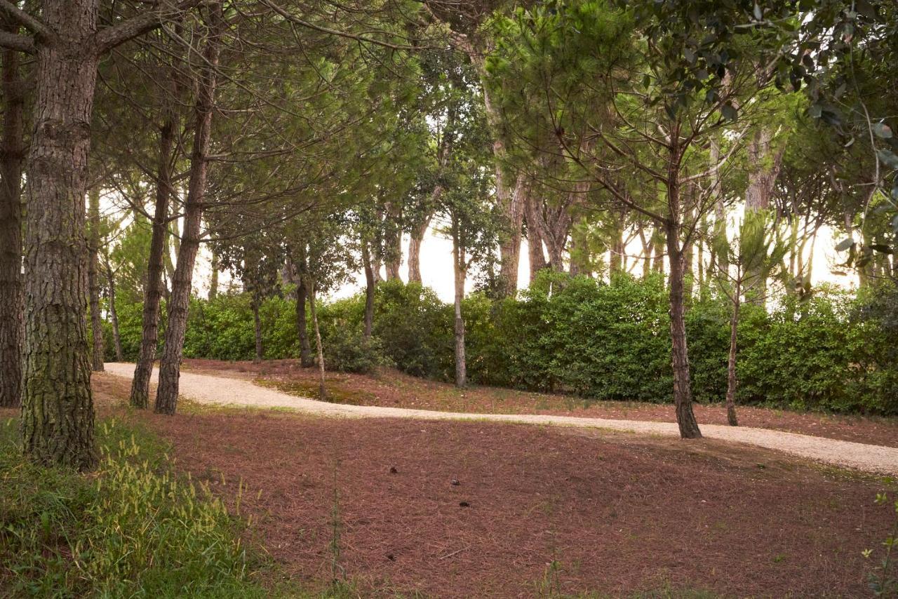 La Pineta